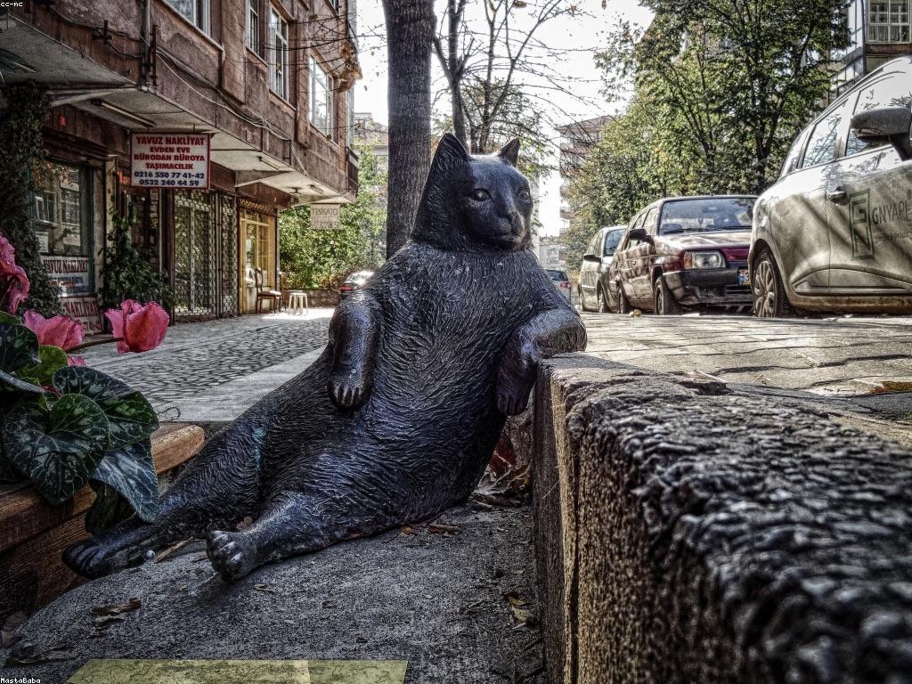 លើកទឹកចិត្ត និងការណែនាំទាក់ទងនឹង LV855